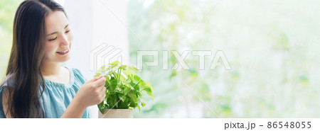 植物を見る女性 環境イメージ サステナブル SDGs 植物を見る女性 環境イメージ サステナブル SDGs 86548055
