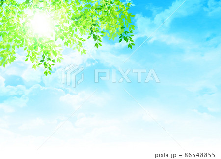 新緑 葉 風景 背景 新緑 葉 風景 背景 86548855