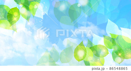 新緑　葉　風景　背景 86548865