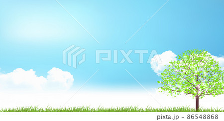 新緑　木　風景　背景 86548868