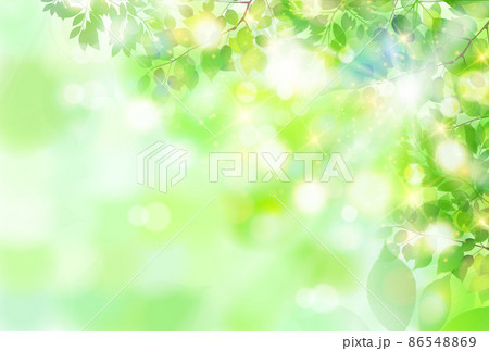新緑 葉 風景 背景 新緑 葉 風景 背景 86548869