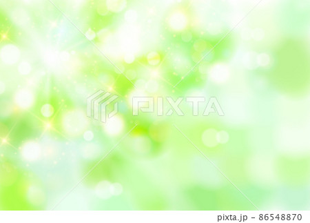 新緑　光　風景　背景 86548870
