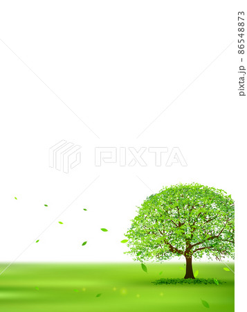 空 草原 風景 背景 空 草原 風景 背景 86548873