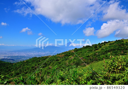 伊豆スカイラインから見る街並みと富士山 86549320