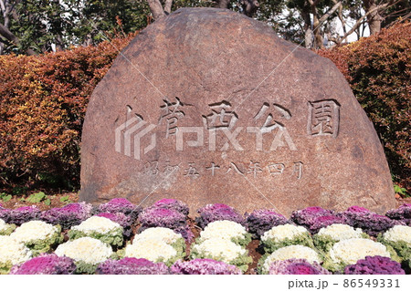葛飾区立小菅西公園 東京都葛飾区小菅 葛飾区立小菅西公園 東京都葛飾区小菅 86549331