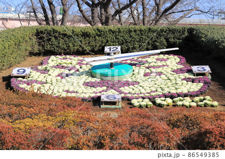 葛飾区立小菅西公園　花時計　　 86549385