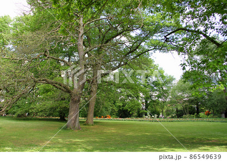 広々としたグロート・ベイハールデン城の庭園 広々としたグロート・ベイハールデン城の庭園 86549639