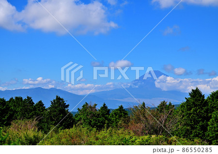 十国峠からの富士山の眺め 十国峠からの富士山の眺め 86550285