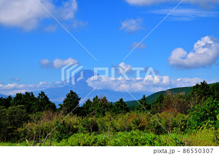 十国峠からの富士山の眺め 86550307