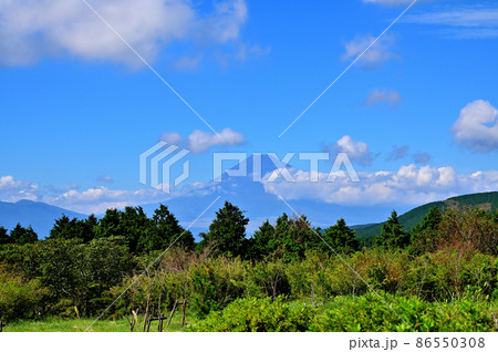 十国峠からの富士山の眺め 十国峠からの富士山の眺め 86550308