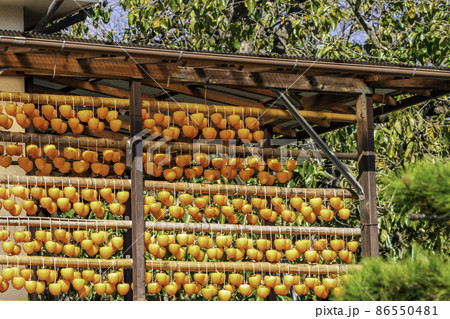 塩山　つるし柿　干し柿　山梨県甲州市 86550481
