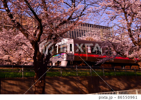 高井戸駅付近　井の頭線と桜 86550961
