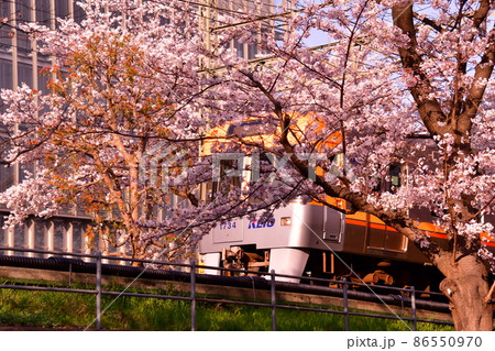 高井戸駅付近　井の頭線と桜 86550970