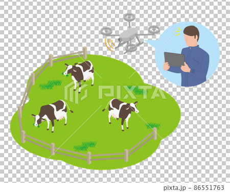 Drone cattle online monitoring