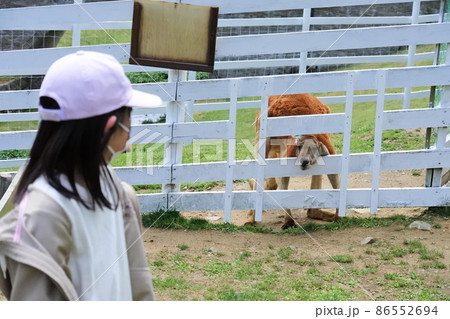Girl and kangaroo / 行かないでと言ってるカンガルー 86552694