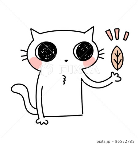 葉っぱを見る 葉っぱを見る 86552735