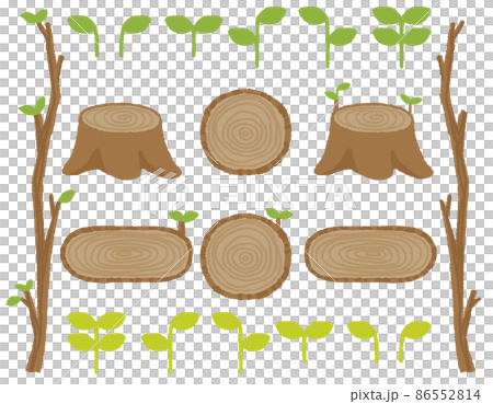 木と新芽の素材セット 86552814