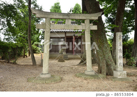 素盞嗚神社（江包） 86553804