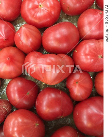 野菜 イタリアントマト 農家 産地直送 赤 サラダ 野菜 イタリアントマト 農家 産地直送 赤 サラダ 86554272