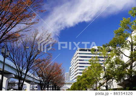 東京 豊洲の風景 東京 豊洲の風景 86554320