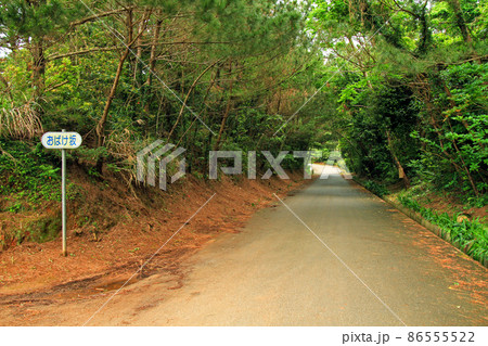 沖縄　久米島の不思議な坂道　おばけ坂 86555522