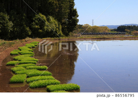 田植え前の水田を通過する東北本線E531系(栃木県那須町) 田植え前の水田を通過する東北本線E531系(栃木県那須町) 86556795