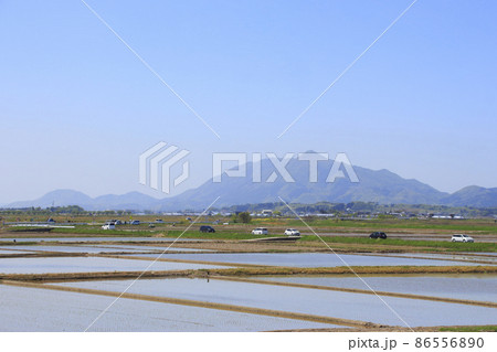 新潟平野の田植え風景（新潟県新潟市西区赤塚） 86556890