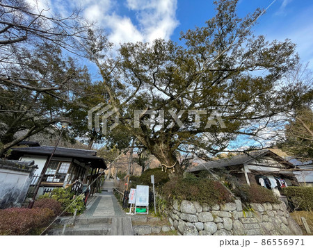 高野山真言宗大澤山久安寺 高野山真言宗大澤山久安寺 86556971