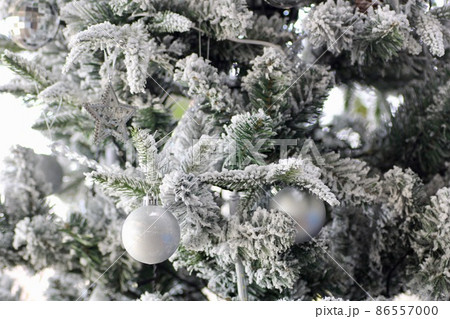 クリスマスツリー クリスマスツリー 86557000