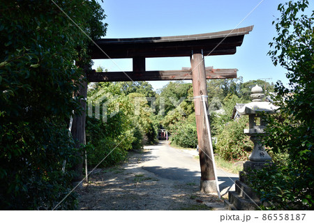 村屋坐弥冨都比売神社一の鳥居 86558187