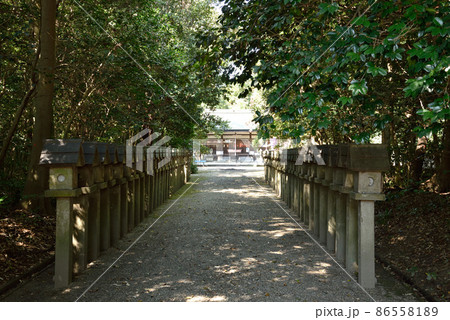 村屋坐弥冨都比売神社の参道 86558189