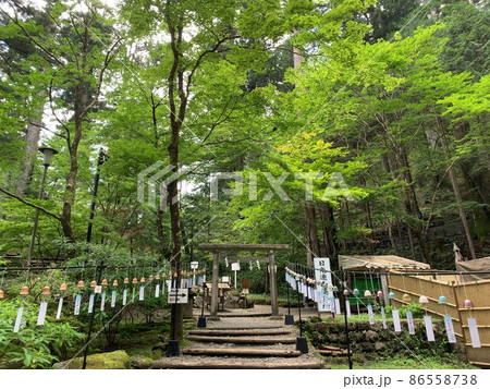 日光連山遥拝所への道 日光連山遥拝所への道 86558738