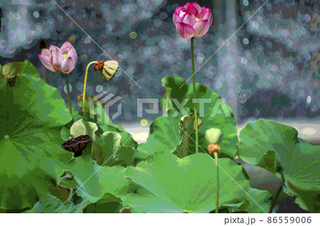 大阪市咲くやこの花館の蓮をデジタル処理したイラスト 86559006