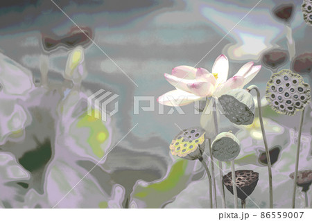 大阪市咲くやこの花館の蓮をデジタル処理したイラスト 86559007