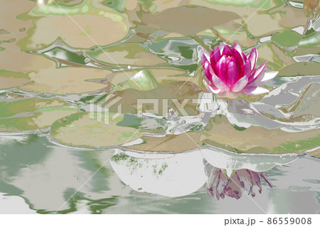 大阪市咲くやこの花館の蓮をデジタル処理したイラスト 大阪市咲くやこの花館の蓮をデジタル処理したイラスト 86559008
