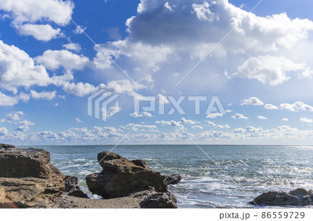 茨城県日立市　初崎海岸の岩場 86559729