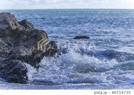 茨城県日立市　初崎海岸の岩場 86559730