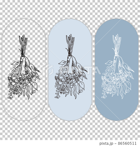 時尚的乾燥花圖示插圖、自然設計和標籤設計 時尚的乾燥花圖示插圖、自然設計和標籤設計 86560511