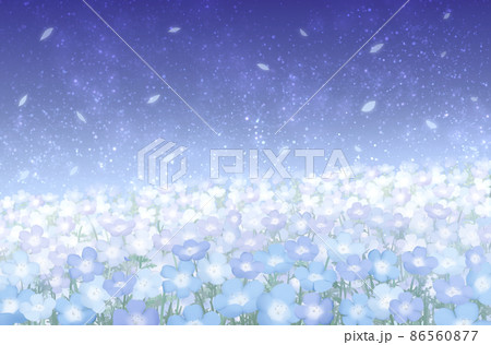 夜空のネモフィラ畑のイラスト素材 [86560877] - PIXTA