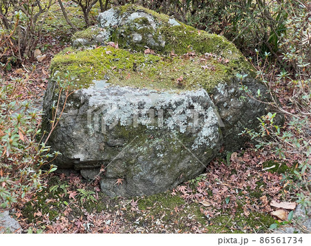 高野山真言宗大澤山久安寺 高野山真言宗大澤山久安寺 86561734