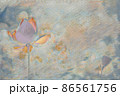 大阪市咲くやこの花館の蓮をデジタル処理したイラスト 86561756