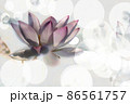 大阪市咲くやこの花館の蓮をデジタル処理したイラスト 86561757