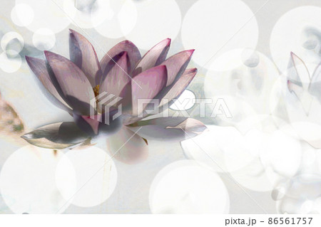 大阪市咲くやこの花館の蓮をデジタル処理したイラスト 86561757
