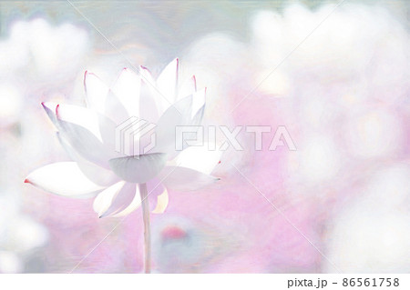 大阪市咲くやこの花館の蓮をデジタル処理したイラスト 86561758