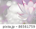 大阪市咲くやこの花館の蓮をデジタル処理したイラスト 86561759