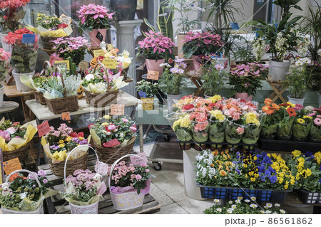花屋さんの店先 秋の花屋さんのイメージ 花屋さんの店先 秋の花屋さんのイメージ 86561862