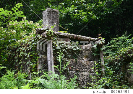 鬱蒼と茂る森の中に佇んでいる石碑 鬱蒼と茂る森の中に佇んでいる石碑 86562492