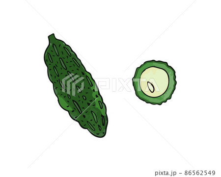 ゴーヤ イラストのイラスト素材