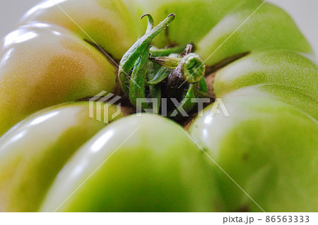 緑のトマト　無農薬 86563333