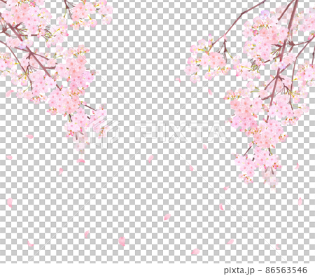 美しく華やかな満開の桜の花と花びら舞い散る春の白バック縦フレームベクター素材イラスト 86563546
